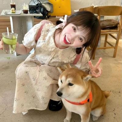 牵牛的夏天